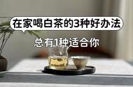 宅家喝白茶的三种方式：从个人到全家共享