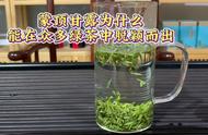 蒙顶甘露：独特之处使其在绿茶中脱颖而出