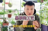 三分钟教你了解黑茶——茶叶入门篇