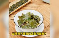 探索台湾茶与黄茶的独特性：一个全面的比较