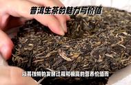 普洱茶的魅力与价值：茶知识全解析