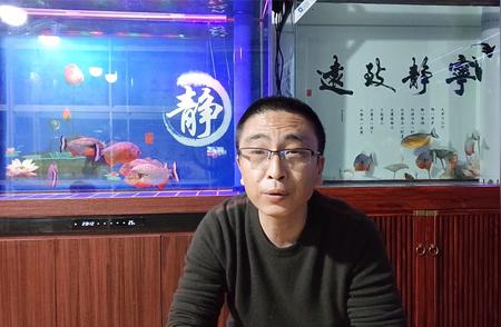 蝴蝶鲤混养指南：最佳搭档观赏鱼推荐