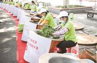 钟山风景区盛大举行南京市雨花茶手工炒制大赛