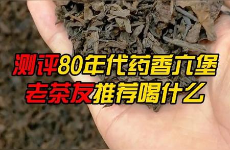 测评揭秘：80年代药香六堡茶的品质之旅