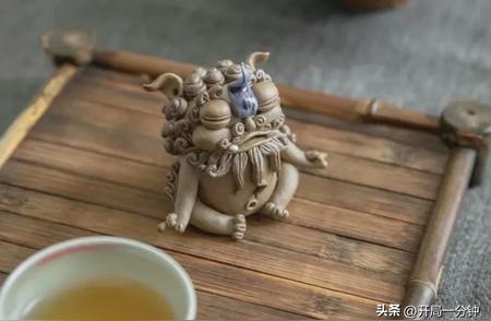 探索养小茶宠的乐趣：从盘串到宠物的美妙转变