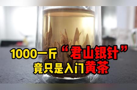 试喝君山银针：入门黄茶的独特体验